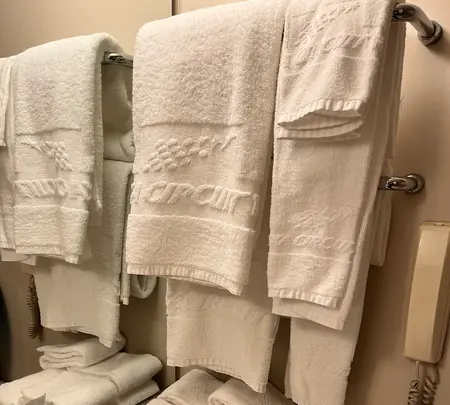 鈴鹿サーキットホテルの写真・動画_image_516257