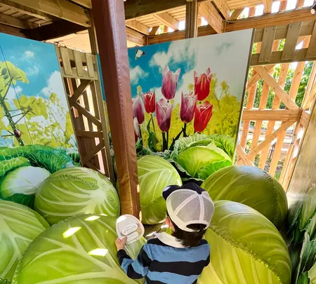 鈴鹿サーキットモートピアの写真・動画_image_516261