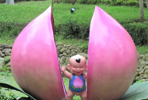 姜太公中部道場客家大院の写真・動画_image_516269