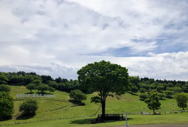 伊香保グリーン牧場の写真・動画_image_517215