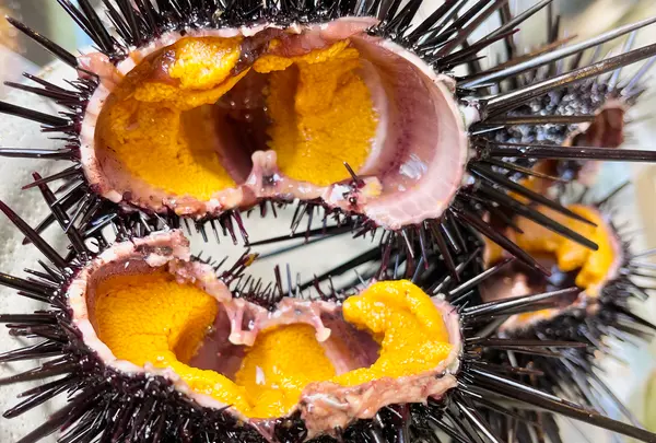 口福の馳走屋 梅乃葉の写真・動画_image_517256