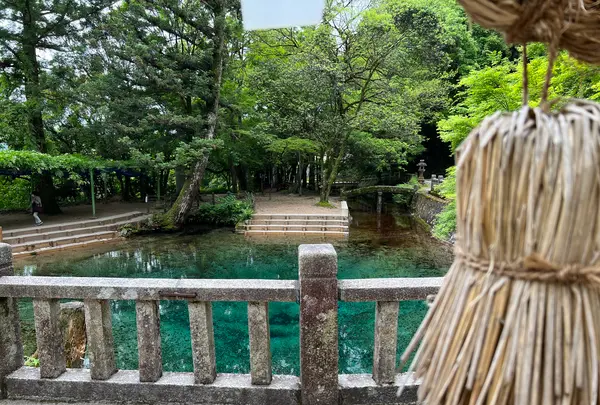 別府弁天池の写真・動画_image_517300
