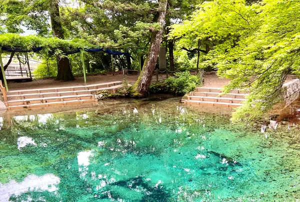 別府弁天池の写真・動画_image_517302