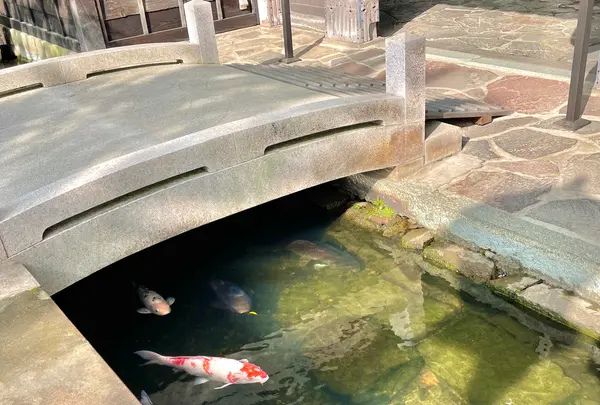 殿町通りの写真・動画_image_517319