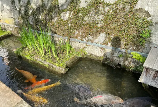 殿町通りの写真・動画_image_517325