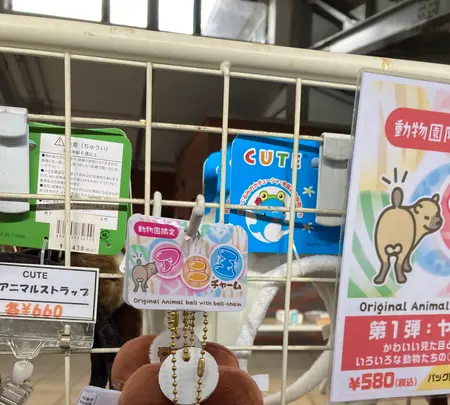 京都市動物園 もうじゅうワールドの写真・動画_image_517427