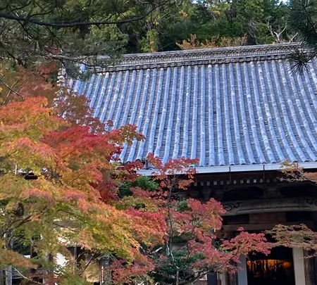 西明寺の写真・動画_image_517463