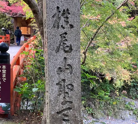 西明寺の写真・動画_image_517465