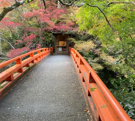西明寺の写真・動画_image_517466