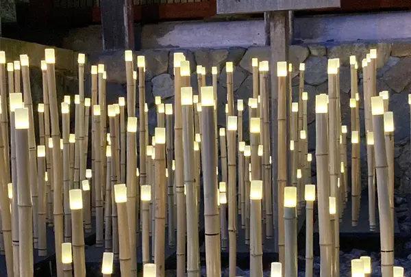神護寺の写真・動画_image_517483