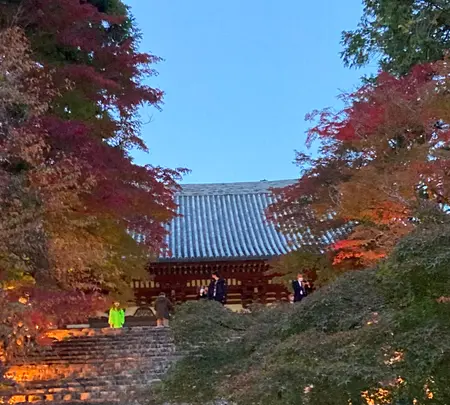 神護寺の写真・動画_image_517484