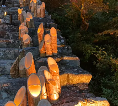 神護寺の写真・動画_image_517487