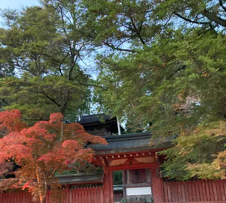 神護寺の写真・動画_image_517488