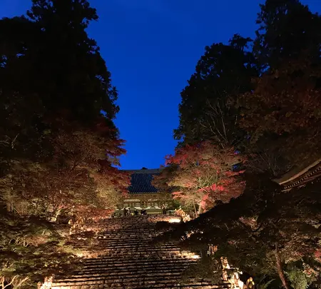 神護寺の写真・動画_image_517489