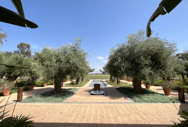 Royal Golf Marrakechの写真・動画_image_517564