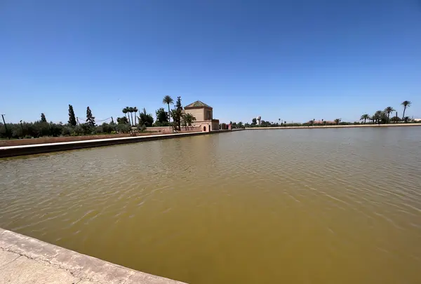 メナラ庭園の写真・動画_image_517566