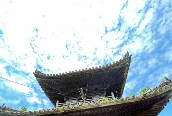 聖福寺の写真・動画_image_518695