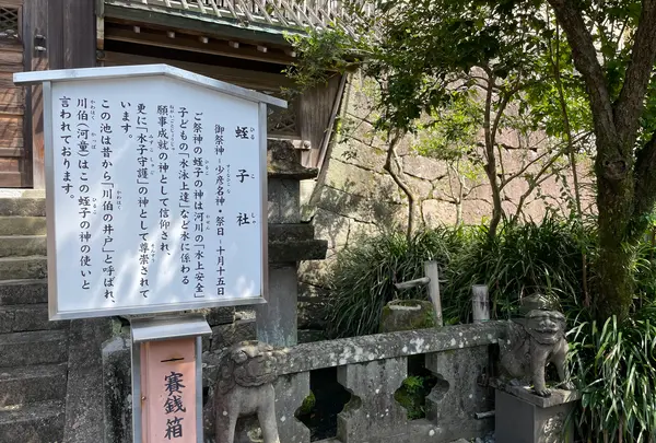諏訪神社の写真・動画_image_518716