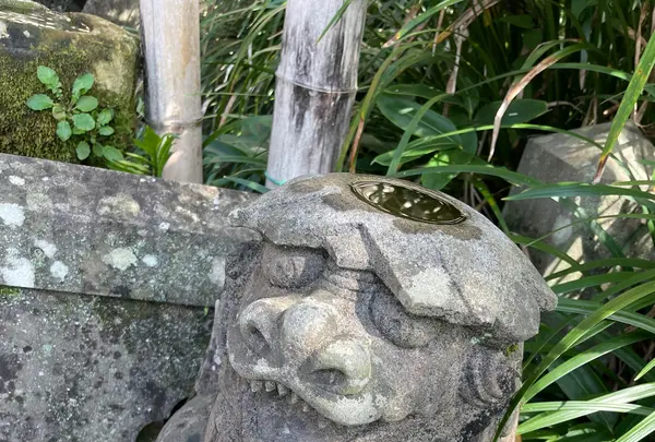 諏訪神社の写真・動画_image_518717