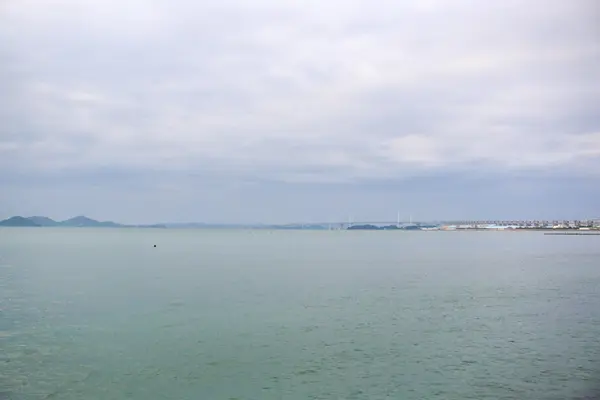 道の駅 うたづ臨海公園の写真・動画_image_518751