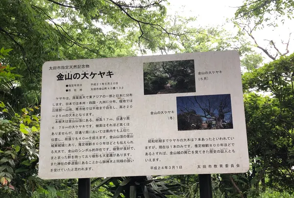 新田神社(太田市)の写真・動画_image_518794