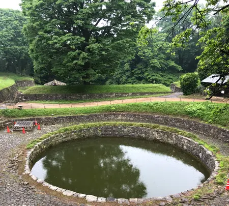新田神社(太田市)の写真・動画_image_518797