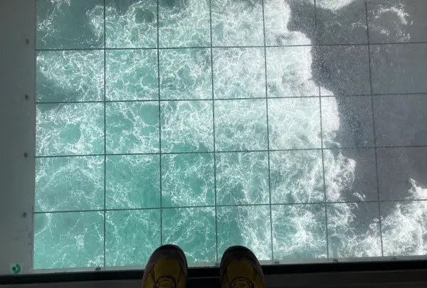 渦の道の写真・動画_image_518834