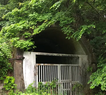 水の広場の写真・動画_image_518921