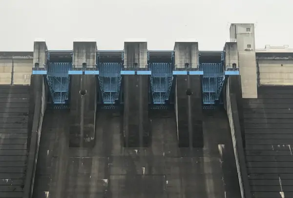 水の広場の写真・動画_image_518923