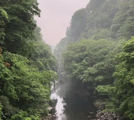 足尾線旧線跡の写真・動画_image_518927