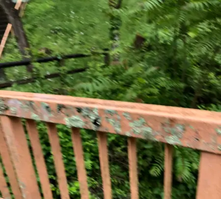 足尾線旧線跡の写真・動画_image_518928