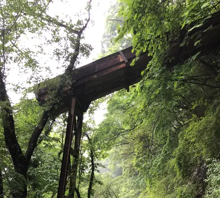 足尾線旧線跡の写真・動画_image_518930