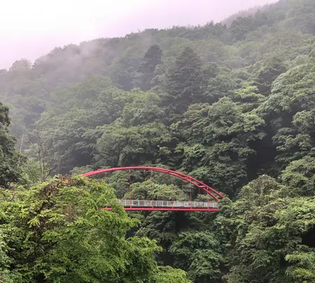 足尾線旧線跡の写真・動画_image_518931