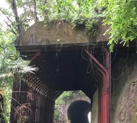 琴平トンネルの写真・動画_image_518932