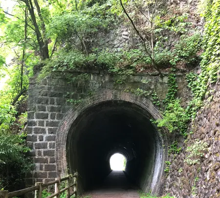 琴平トンネルの写真・動画_image_518934