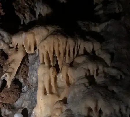 小平の里の写真・動画_image_518966