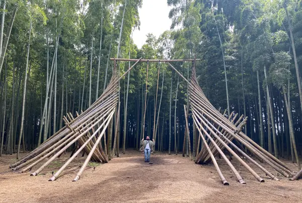 宇都宮市 若竹の杜 若竹農場の写真・動画_image_519096