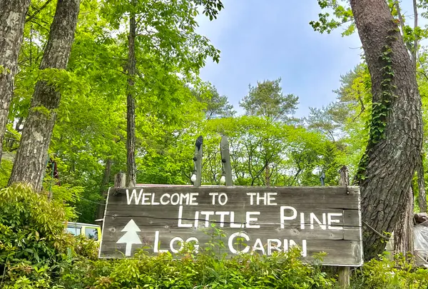 リトルパインログキャビンの写真・動画_image_519115