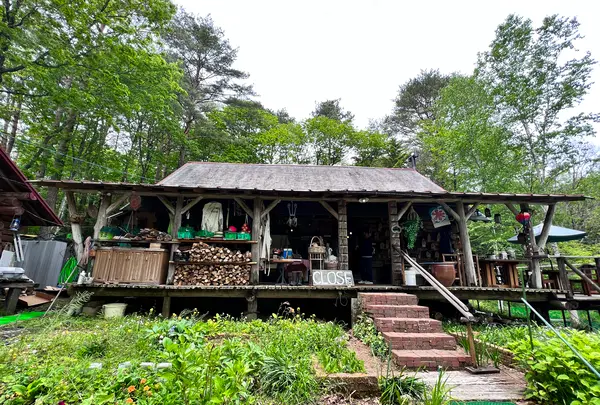 リトルパインログキャビンの写真・動画_image_519117