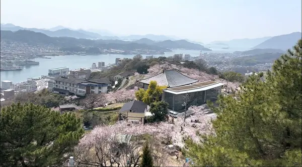 千光寺公園展望台 PEAKの写真・動画_image_519224