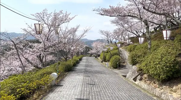 千光寺公園の写真・動画_image_519228