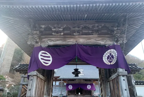 浄泉寺の写真・動画_image_519295