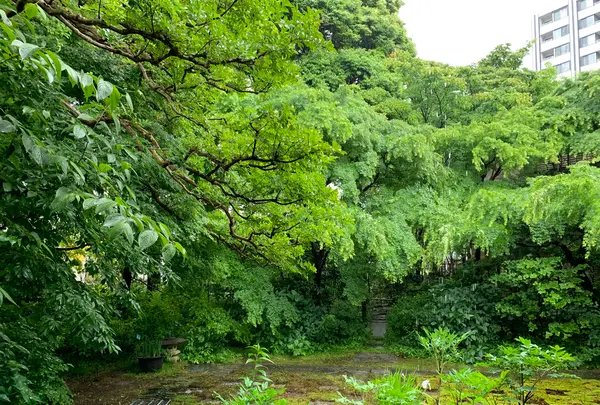 ぼうず'n coffee（ぼうずン コーヒー）の写真・動画_image_519730