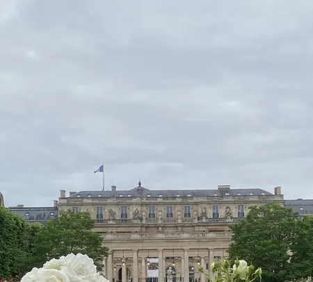 パレ・ロワイヤルの写真・動画_image_520072