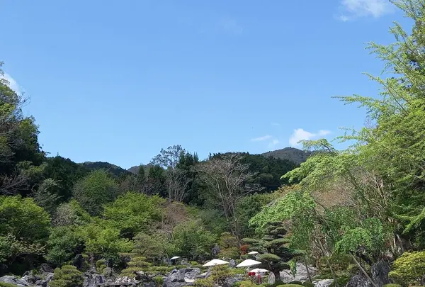 當麻寺中之坊の写真・動画_image_520425