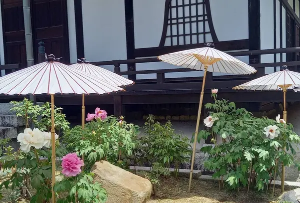 當麻寺中之坊の写真・動画_image_520426
