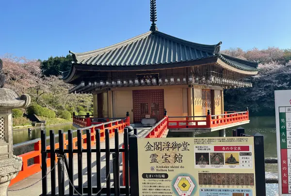 安倍文殊院の写真・動画_image_520431
