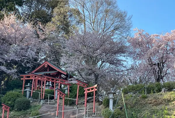 安倍文殊院の写真・動画_image_520432
