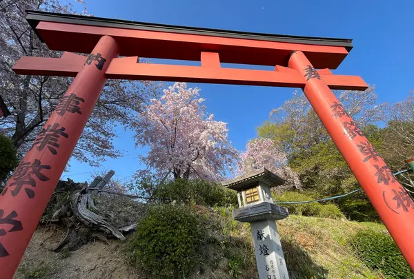 安倍文殊院の写真・動画_image_520436