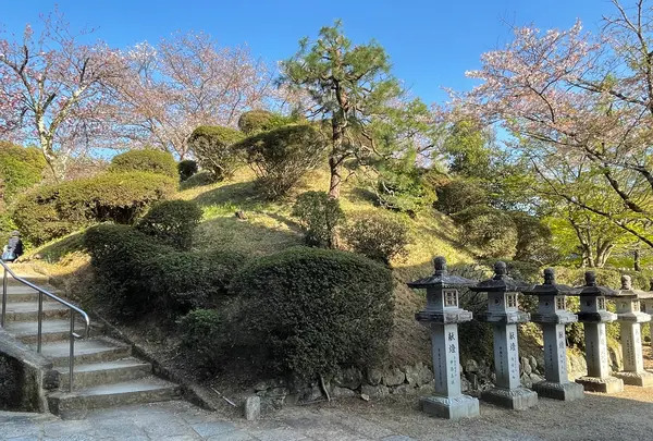 安倍文殊院の写真・動画_image_520438